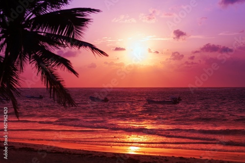 Fototapeta Naklejka Na Ścianę i Meble -  Beautiful sunset tropical beach with palm tree and sky for travel and vacation in holiday relax time