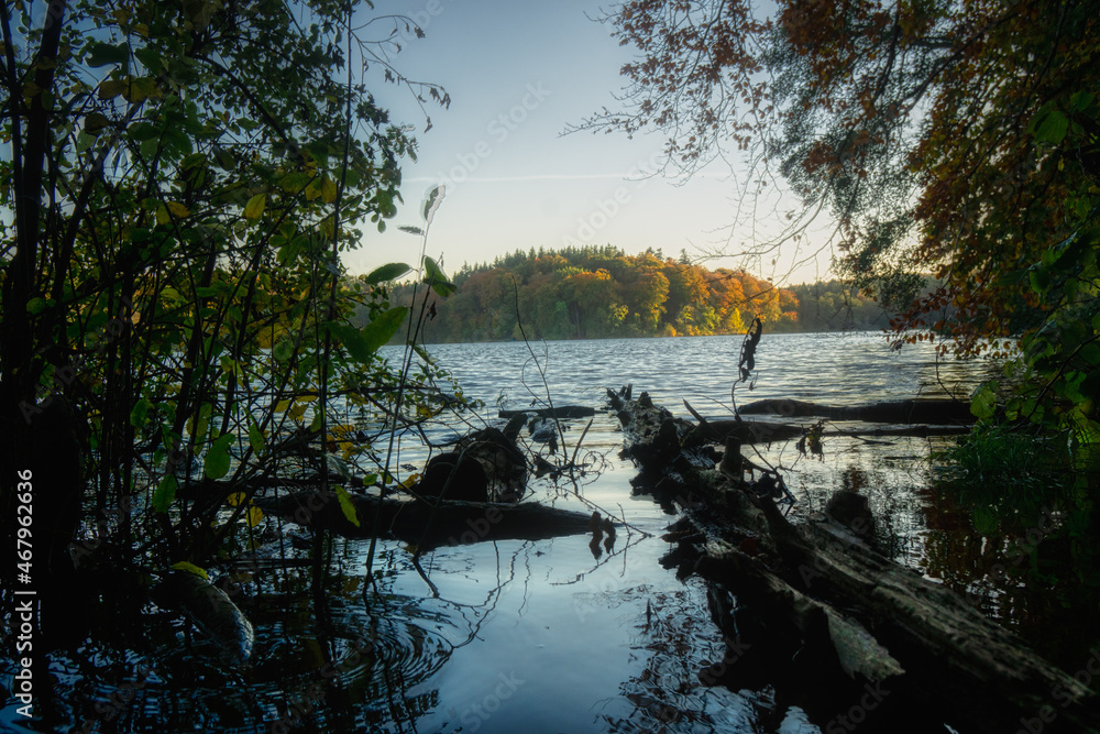 The forest shows itself in its most beautiful autumn colors on the lake The forest shows itself in its most beautiful autumn colors on the lake