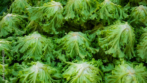 Top view of the shelf with green salad in the bazaar.