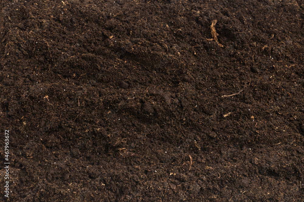 Soil for plant isolated on white background. Soil for plant isolated on white background.