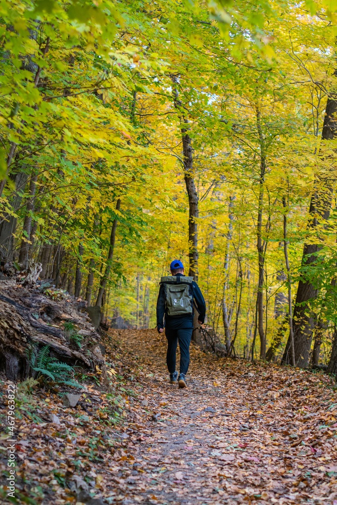 Fototapeta premium Fall season hiking trail in the woods fool of colorful trees.