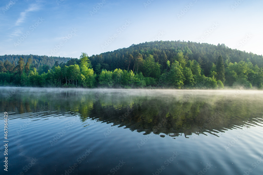 Fototapeta premium Trees glow in the morning light and reflect in a lake