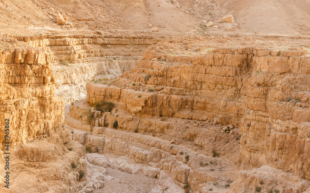 Canyon in the Judean Desert in Israel