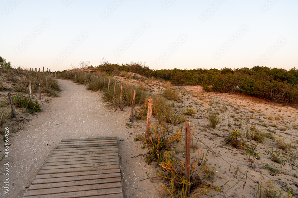 Fototapeta premium Lacanau-Ocean