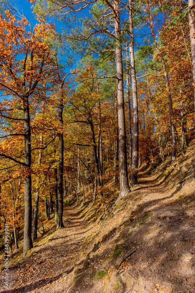 Herbstspaziergang rund um die Wartburgstadt Eisenach am Rande des Thüringer Waldes - Thüringen
