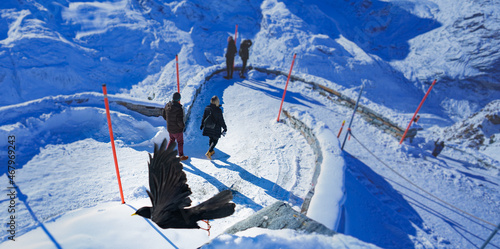 Matterhorn, Zermatt, Skiing, Winter Hiking, magical Landscampe of Zermatt,  Glacier Paradies, Riffelberg, Furi, Rothorn, Monta Rosa, Dufourspitze,Visp, Sunnegga, Gornergrat, Randa, Tasch, Zmutt, Liska photo