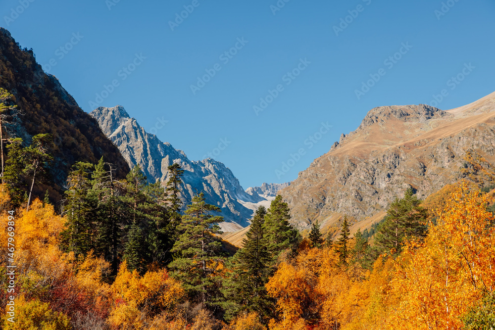 Rocky mountains landscape and autumnal forest. Rocky mountains landscape and autumnal forest.