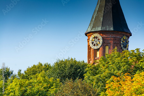 The dome of the cathedral with chimes rises above the very beautiful autumn trees.