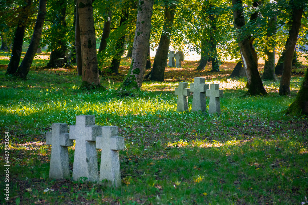Naklejka premium Мemorial in memory of those killed in the autumn forest