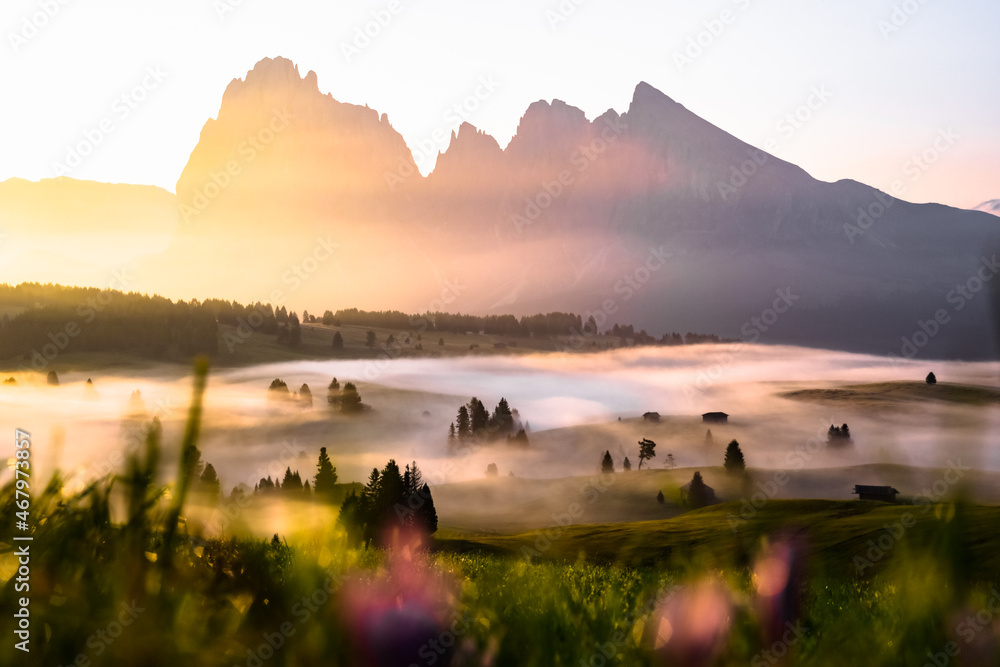 Misty landscape view in Alpe di Siusi or Seiser Alm