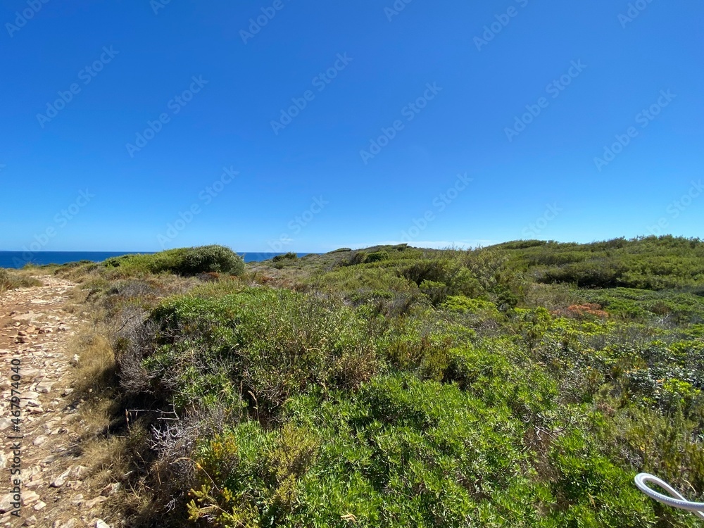 Schiffsreise von Brac Bol nach Hvar und Pakleni Inseln im Sommer Schiffsreise von Brac Bol nach Hvar und Pakleni Inseln im Sommer