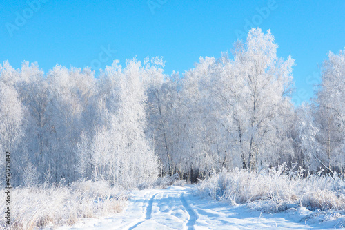 winter road leaving in a snowy winter birch forest against a blue sky..