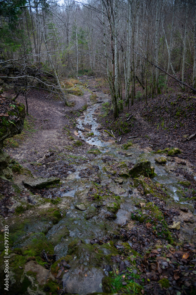 sandy rock along which flows a clear forest spring water forming a waterfall. Stones with green moss. sandy rock along which flows a clear forest spring water forming a waterfall. Stones with green moss.