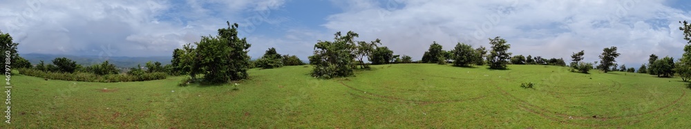 Beautiful panoramic view of park full of meadow near the plants under the sky