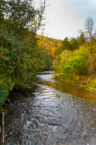 River flowing through the woods in autumn photo