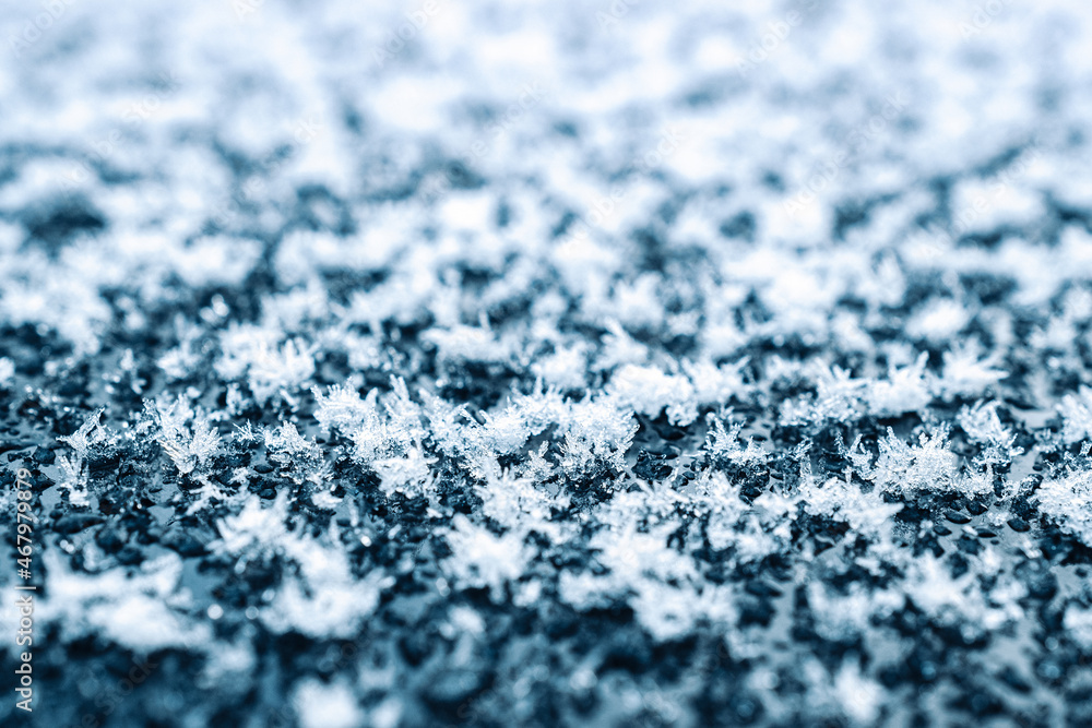 Obraz premium Frosting macro. Cold snow winter background. Blue crystal frozen abstract pattern. White frost ice texture.