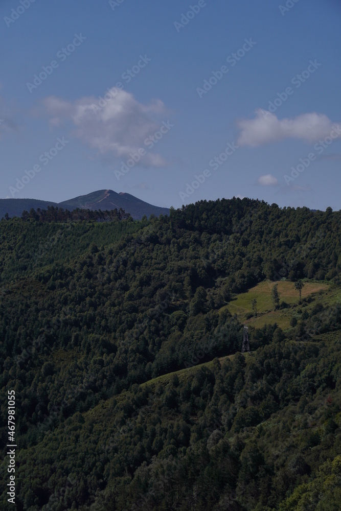 A landscape full of trees A landscape full of trees