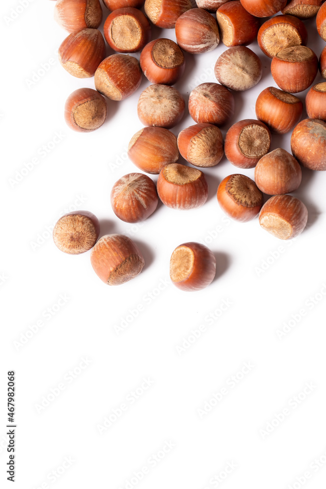Shelled hazelnuts on the white background Shelled hazelnuts on the white background