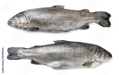 Rainbow trout raw whole on a white background, isolated. Top view