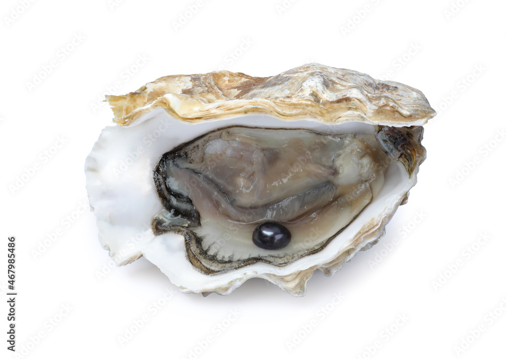 Open oyster with black pearl isolated on white Open oyster with black pearl isolated on white