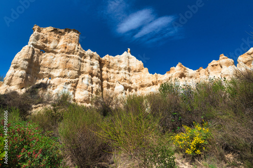 Limestone geological organ shape formation