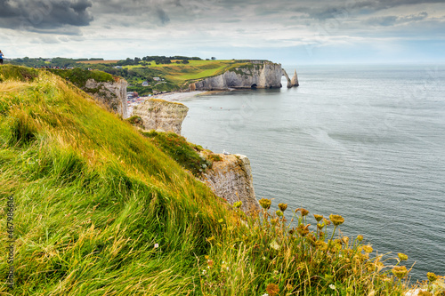 Etretat wild meadow and coastline