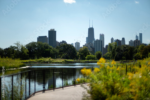 Downtown Chicago skyline view from Lincoln Park photo