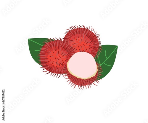 Rambutan fruit logo. Rambutan fruit icon. Fruit shop logo. Vector design illustration. Rambutan is a traditional fruit from Indonesia.