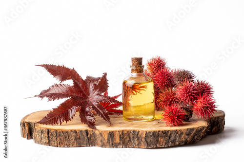 Castor oil bottle with castor fruits, seeds and leaf. Ricinus Communis plant oil. Turkish name; hint yagi photo