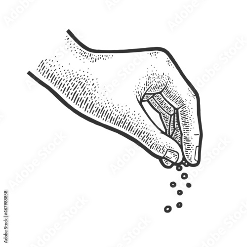 hand salt sketch engraving vector illustration. T-shirt apparel print design. Scratch board imitation. Black and white hand drawn image.