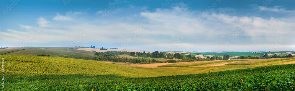 Panorama of waves of agricultural land with fields of sunflower, cereals and corn