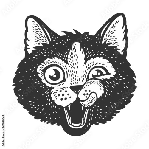 Cat head face sketch engraving vector illustration. T-shirt apparel print design. Scratch board imitation. Black and white hand drawn image.