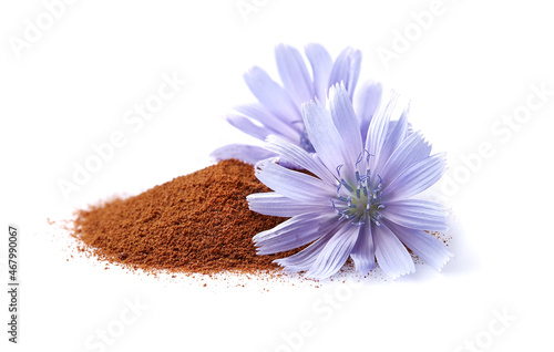 Chicory flowers with crushed root on white background photo
