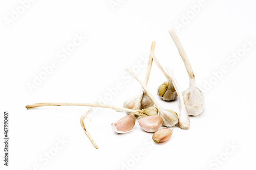 Garlic. garlic cloves on white background layout with free copy text space