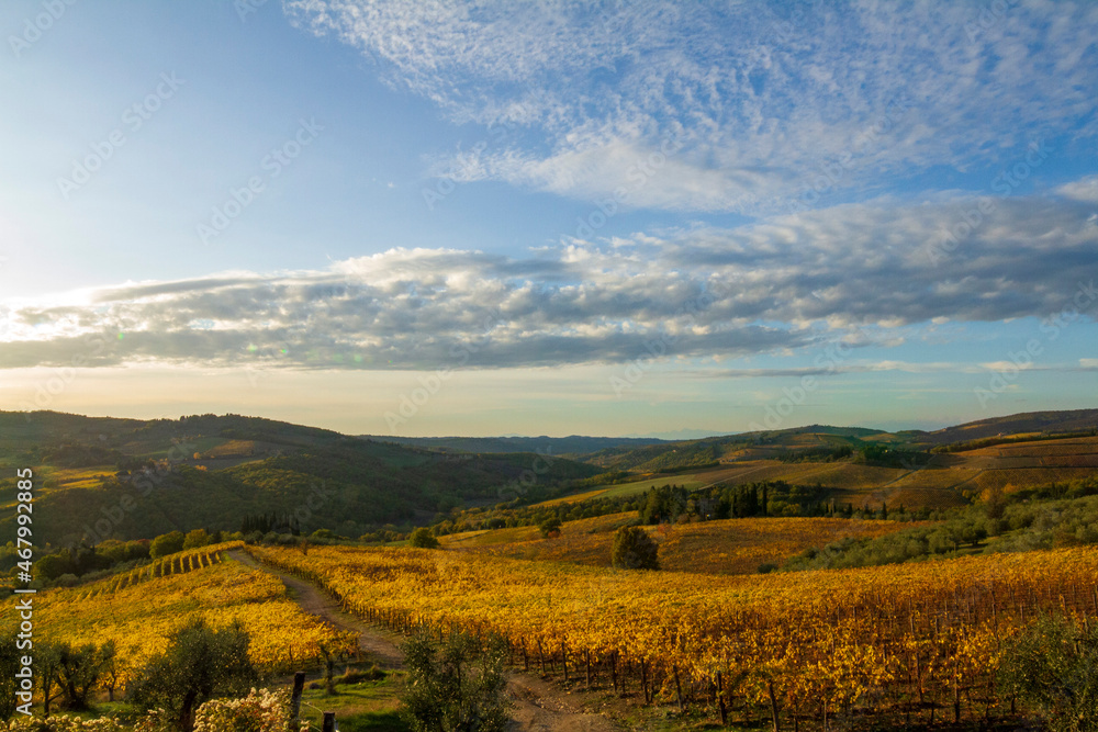 Paesaggio del Chianti Classico in Toscana con i vigneti e le colline