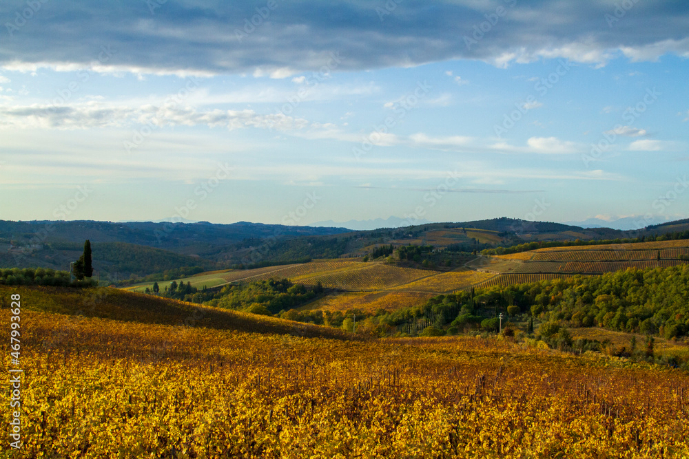 Paesaggio del Chianti in Toscana con vigneti, colline e campagna
