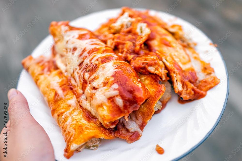Person holding plate with pile of homemade Mexican food enchiladas with tomato sauce, tortilla and melted cheese