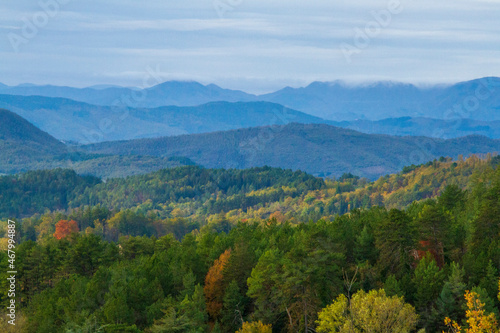 Paesaggio boscoso con montagne e nubi sullo sfondo
