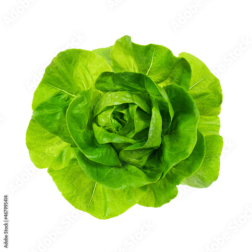 Konstfotografi Top view of fresh Butterhead lettuce or Bibb, Boston, Arctic King salad