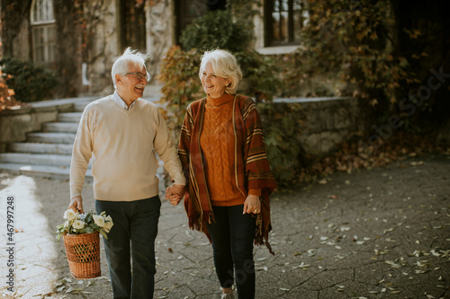 Senior couple walking with ...