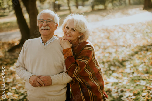 Senior couple embracing in ...