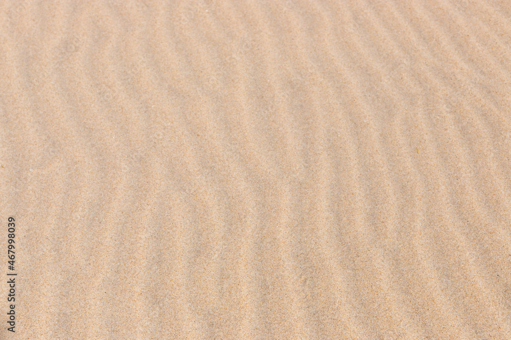 Sand texture background, Ria Formosa, Natural Park, Algarve Sand texture background, Ria Formosa, Natural Park, Algarve