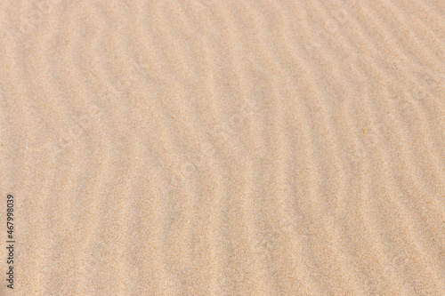 Sand texture background  Ria Formosa  Natural Park  Algarve 