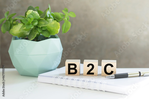 B2C - conceptual text on wooden cubes on a light background and a pot with a flower