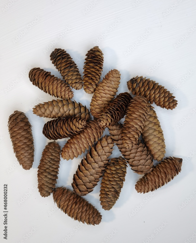 The pine cones lie on a white table
The pine cones lie on a white table