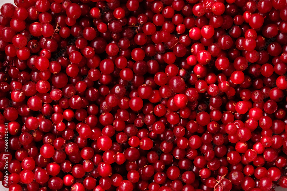 Cranberries background. Red berries surface. Cranberries background. Red berries surface.