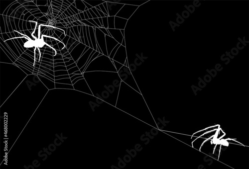 white two isolated large spiders in web illustration