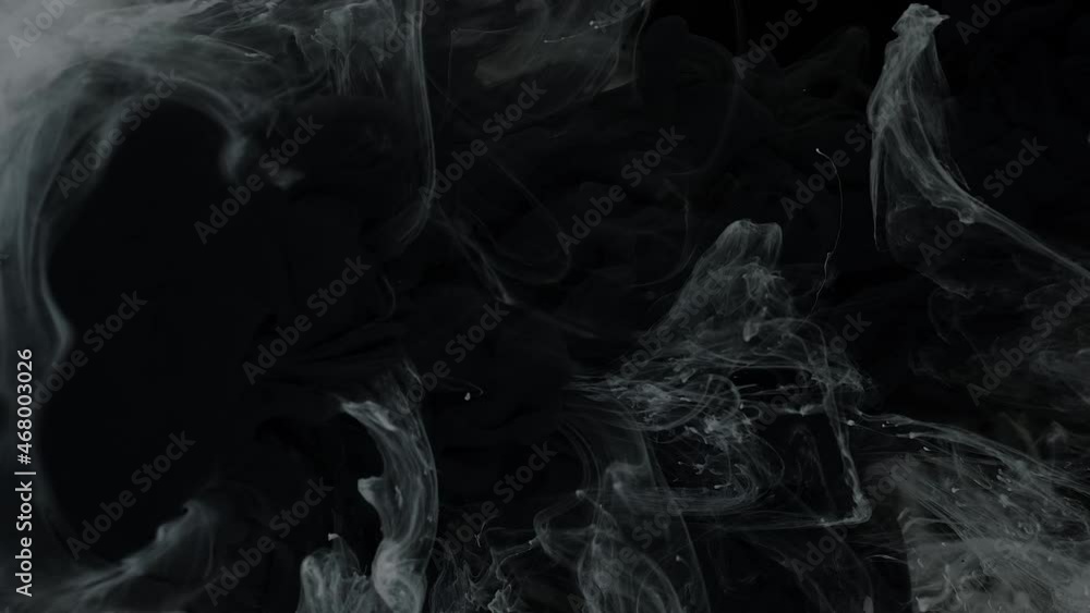 Black watercolor ink in water on a white and black background. Screensaver. Beautiful abstract background. Slow motion of ink mixing with each other in water. Black watercolor ink in water on a white and black background. Screensaver. Beautiful abstract background. Slow motion of ink mixing with each other in water.
