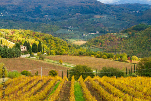 Paesaggio di campagna tra le colline con boschi e vigneti