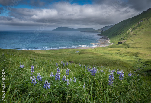 Landscape image of Hot Springs Cove on Umnak Island in Alaska's Aleutian Islands. Alaska Maritime National Wildlife Refuge. 